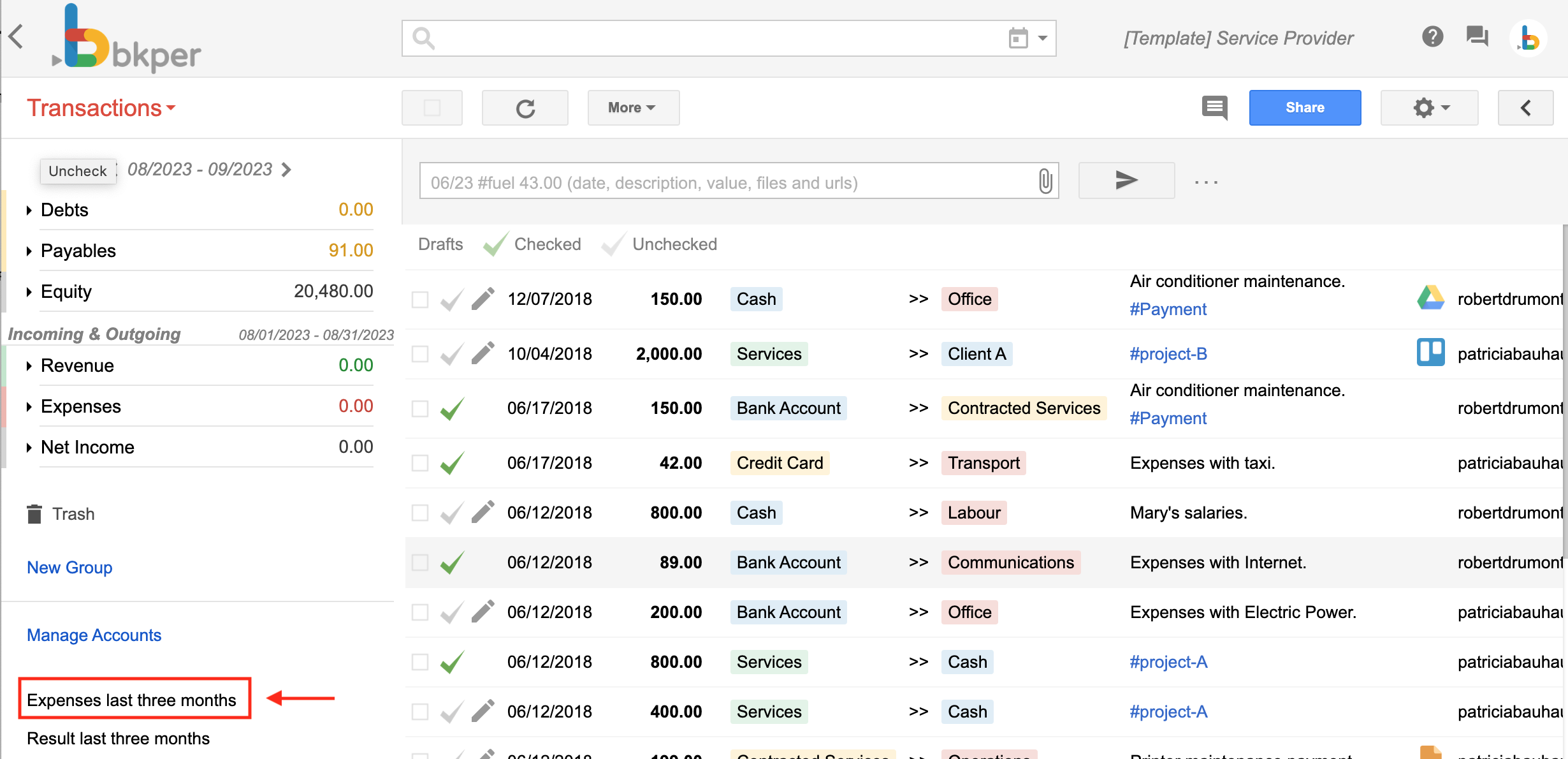 Saved queries listed in the left sidebar of a Bkper Book